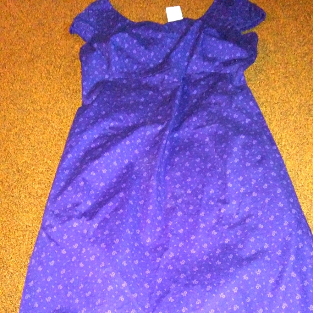 Gap dainty flower dress NWT